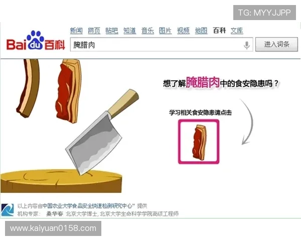 开云娱乐网站与勒沃库森合作详情解析助你了解最新赞助合作动态